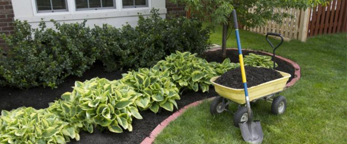 L'aide à domicile pour l'entretien de votre jardin